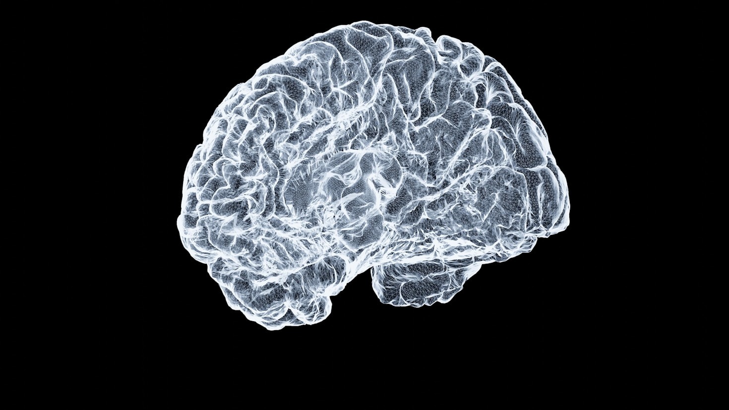 Understanding Memory Formation and Recall